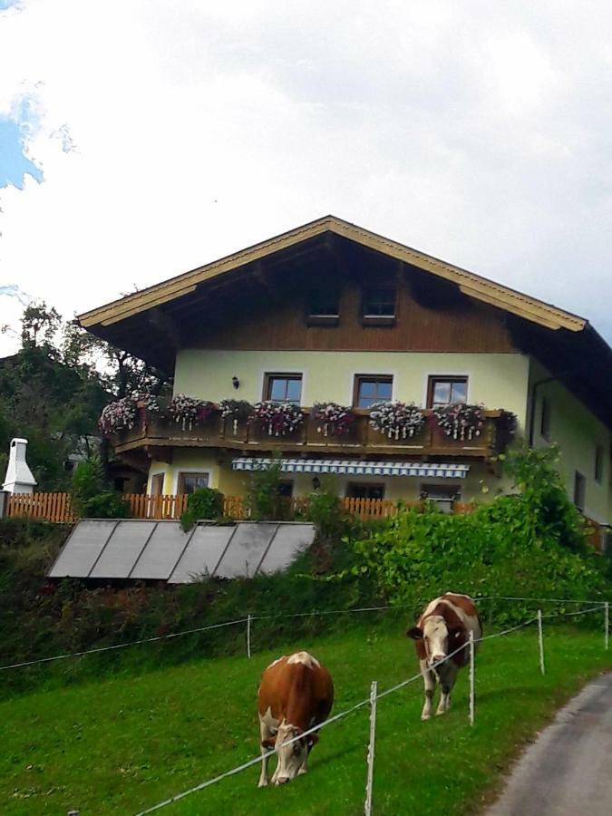 Landhaus Katharina 比绍夫斯霍芬 外观 照片