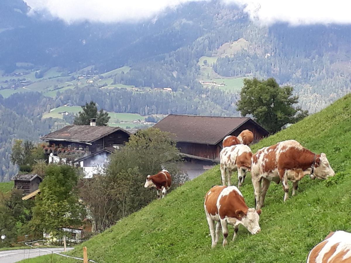 Landhaus Katharina 比绍夫斯霍芬 外观 照片